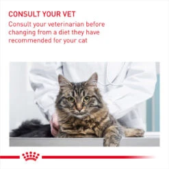 ROYAL CANIN® Hair & Skin Care Adult Dry Cat Food -Cat Courtyard lox5h25zciaapyfqqpgo