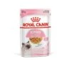 ROYAL CANIN® Kitten In Jelly Wet Food -Cat Courtyard mbmhdzfggkcbmmyl9fm2