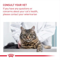 ROYAL CANIN® Digestive Care Adult Dry Cat Food 19 ROYAL CANIN® Digestive Care Adult Dry Cat Food -Cat Courtyard mkawaklaiteu3qlaeddq