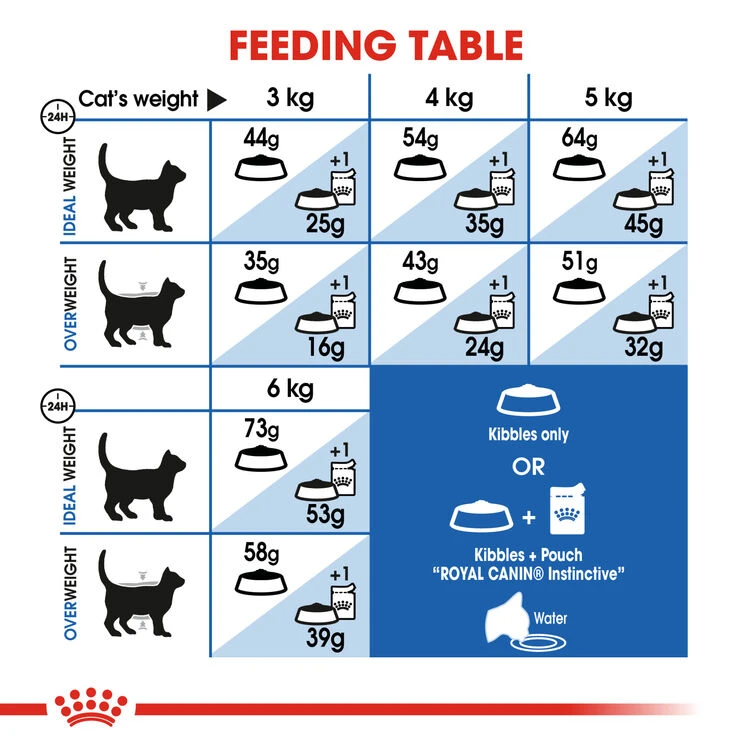 ROYAL CANIN® Indoor Long Hair Adult Dry Cat Food 7 ROYAL CANIN® Indoor Long Hair Adult Dry Cat Food - Image 5