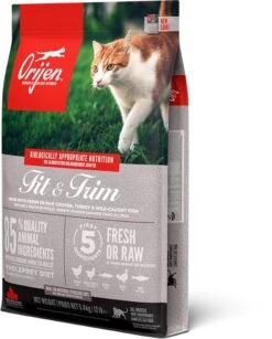 Orijen Fit & Trim Dry Cat Food -Cat Courtyard ns canada emea apac orijen fit 26 trim cat front left 5.4kg