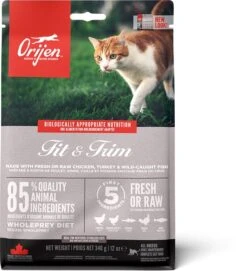 Orijen Fit & Trim Dry Cat Food -Cat Courtyard ns emea apac orijen fit 26 trim cat front 340g