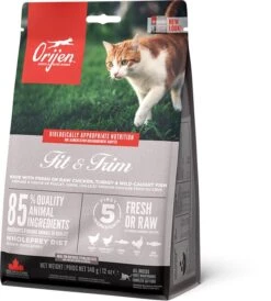 Orijen Fit & Trim Dry Cat Food -Cat Courtyard ns emea apac orijen fit 26 trim cat front left 340g