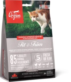 Orijen Fit & Trim Dry Cat Food -Cat Courtyard ns emea apac orijen fit 26 trim cat front right 340g