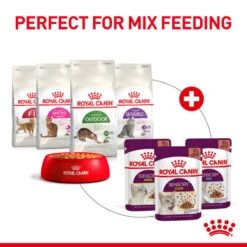 ROYAL CANIN® Sensory Smell In Gravy Adult Wet Cat Food -Cat Courtyard ogspud20qi4bofskeqsm