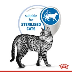ROYAL CANIN® Indoor Sterilised In Gravy Adult Wet Cat Food -Cat Courtyard oy9shjyah33nhhlvhtpx
