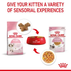 ROYAL CANIN® Kitten In Jelly Wet Food 19 ROYAL CANIN® Kitten In Jelly Wet Food -Cat Courtyard pipusfrze0oynhbh1adk