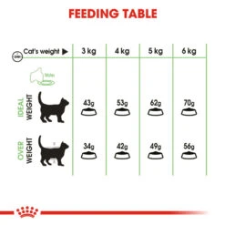 ROYAL CANIN® Digestive Care Adult Dry Cat Food 15 ROYAL CANIN® Digestive Care Adult Dry Cat Food -Cat Courtyard pmd5gqfq1eovxzd6utb3
