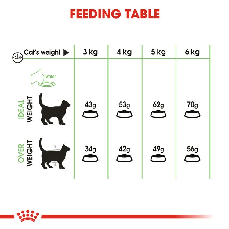 ROYAL CANIN® Digestive Care Adult Dry Cat Food 7 ROYAL CANIN® Digestive Care Adult Dry Cat Food - Image 5