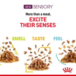 ROYAL CANIN® Sensory Smell In Gravy Adult Wet Cat Food -Cat Courtyard po3sktkdtt4qvcqggncd