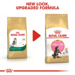 ROYAL CANIN® Maine Coon Kitten Dry Food 13 ROYAL CANIN® Maine Coon Kitten Dry Food -Cat Courtyard poar2uunlqcbpa64pd6e