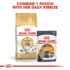ROYAL CANIN® Norwegian Forest Adult Dry Cat Food -Cat Courtyard qostza8x8wddsjee4hx5
