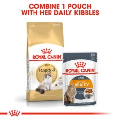 ROYAL CANIN® Ragdoll Adult Dry Cat Food -Cat Courtyard qourohbfftmy6hcqiieq