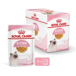 ROYAL CANIN® Kitten In Jelly Wet Food 15 ROYAL CANIN® Kitten In Jelly Wet Food -Cat Courtyard rltbkmm2ejegu4owx4sb