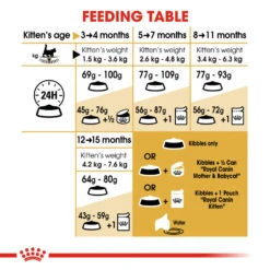 ROYAL CANIN® Maine Coon Kitten Dry Food 15 ROYAL CANIN® Maine Coon Kitten Dry Food -Cat Courtyard rmkn7nbj0g8lleyg7nra