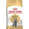 ROYAL CANIN® British Shorthair Adult Dry Cat Food -Cat Courtyard rpthfxdjomt2qgdux22q