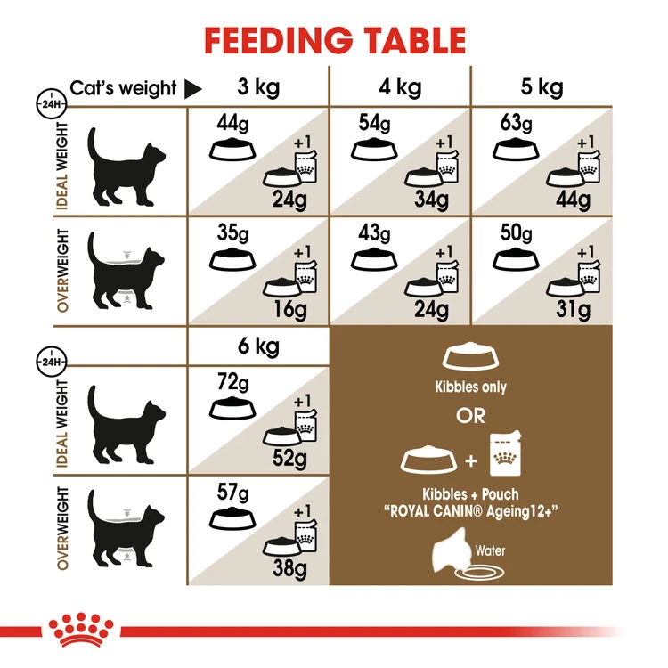 ROYAL CANIN® Ageing Sterilised 12+ Senior Dry Cat Food 7 ROYAL CANIN® Ageing Sterilised 12+ Senior Dry Cat Food - Image 5