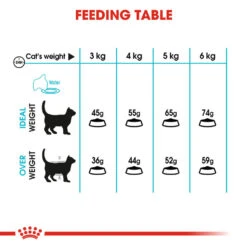 ROYAL CANIN® Urinary Care Adult Dry Cat Food -Cat Courtyard syl7wxzrwqypl9sz9n4o