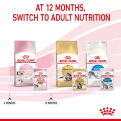 ROYAL CANIN® Kitten In Jelly Wet Food 22 ROYAL CANIN® Kitten In Jelly Wet Food -Cat Courtyard t4roxei3emgahxkklfpo