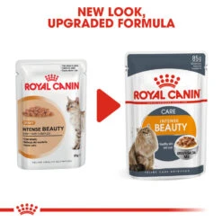 ROYAL CANIN® Intense Beauty Care In Gravy Adult Wet Cat Food -Cat Courtyard two5zg807ehk160alyc3