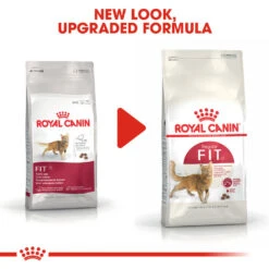 ROYAL CANIN® Regular Fit 32 Adult Dry Cat Food -Cat Courtyard ugmpkx5n0b5fwrjaz8xr