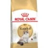ROYAL CANIN® Ragdoll Adult Dry Cat Food -Cat Courtyard utqdp0y6knmsttaei2uw