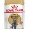 ROYAL CANIN® British Shorthair In Gravy Adult Wet Cat Food 2 ROYAL CANIN® British Shorthair In Gravy Adult Wet Cat Food -Cat Courtyard v8cnpzoojumnvcvmzlmh