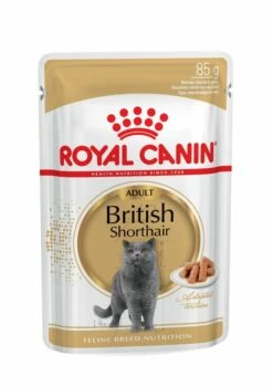 ROYAL CANIN® British Shorthair In Gravy Adult Wet Cat Food