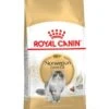 ROYAL CANIN® Norwegian Forest Adult Dry Cat Food -Cat Courtyard vlxwkajpm2lmsm2uaojg