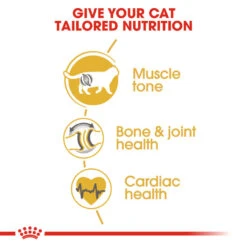 ROYAL CANIN® British Shorthair Adult Dry Cat Food -Cat Courtyard vz8hd2swdultpdvjnola