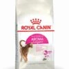 ROYAL CANIN® Aroma Exigent Adult Dry Cat Food 1 ROYAL CANIN® Aroma Exigent Adult Dry Cat Food -Cat Courtyard vzxv5r5ashhs4av0uhuw