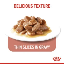 ROYAL CANIN® Appetite Control Care In Gravy Adult Wet Cat Food 16 ROYAL CANIN® Appetite Control Care In Gravy Adult Wet Cat Food -Cat Courtyard wobb1z0hfvlrhexudvip