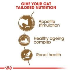 ROYAL CANIN® Senior Ageing 12+ Adult Dry Cat Food -Cat Courtyard womg8axbi8qeyykpnlae