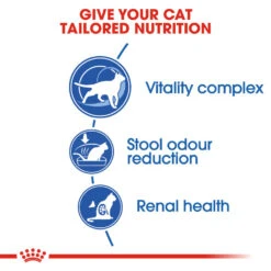 ROYAL CANIN® Indoor 7+ Senior Dry Cat Food 18 ROYAL CANIN® Indoor 7+ Senior Dry Cat Food -Cat Courtyard x11kxaewamm36pkccfff