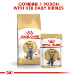 ROYAL CANIN® British Shorthair In Gravy Adult Wet Cat Food -Cat Courtyard xacvcwggdklq9u1votgp