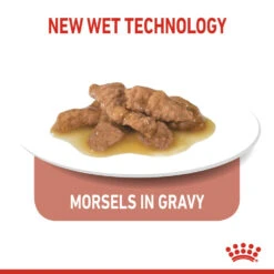 ROYAL CANIN® Indoor Sterilised In Gravy Adult Wet Cat Food -Cat Courtyard xw0nw67mwlpso6gvsiqd