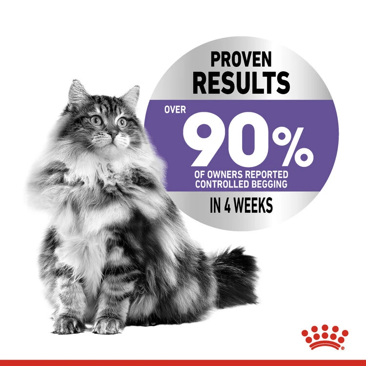ROYAL CANIN® Appetite Control Care In Gravy Adult Wet Cat Food 7 ROYAL CANIN® Appetite Control Care In Gravy Adult Wet Cat Food - Image 5